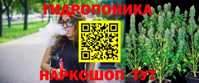 Альфа ПВП Ликино-Дулёво