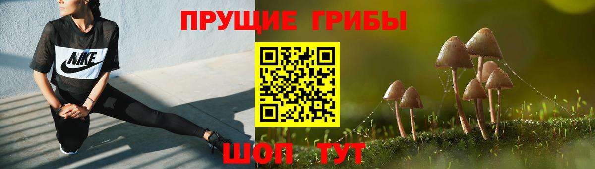 Псилоцибиновые грибы мухоморы Железноводск